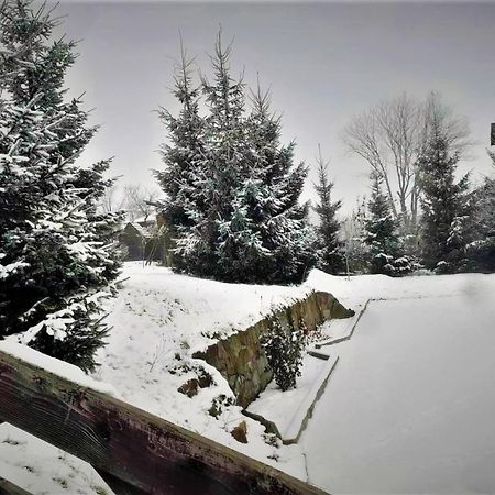 Cottage Ozerniy Lazeshchyna Exteriör bild