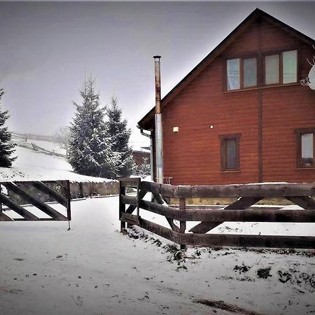 Cottage Ozerniy Lazeshchyna Exteriör bild